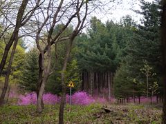 -本溪老边沟风景区