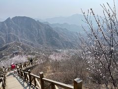 -大岭沟猕猴桃谷风景区