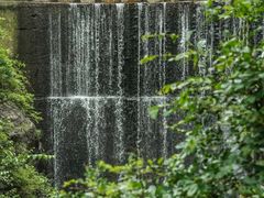 -大奇山国家森林公园