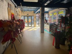 -爱丽丝奇幻乐园