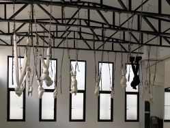 -无界瑜伽普拉提