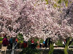-海棠花溪(元大都城垣遗址公园)