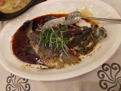 清蒸花斑鱼-岭南海晏楼(东晓南店)