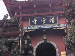 -铁山坪森林公园