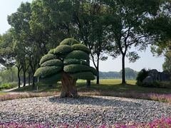 -旭宝高尔夫俱乐部