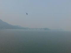 android_upload_pic-十三陵水库