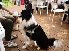 -小意思咖啡店(草桥店)