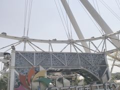 -幻彩摩天轮