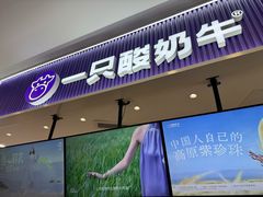 -一只酸奶牛(来福士店)