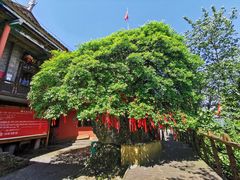 -云山屯古建筑群景区