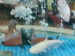 -客家汇·客家传承菜(水库店)