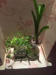 -本真坊美容美体沙龙