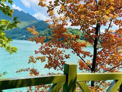 -广州市流溪河国家森林公园