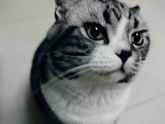 -老周家酱卤猪蹄私房菜(克拉玛依西街店)
