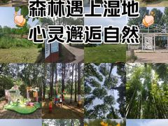 -同里国家湿地公园