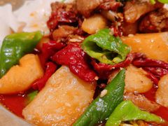 柴窝堡大盘鸡-阿拉丁新疆风味餐厅·清真(罗廊巷店)
