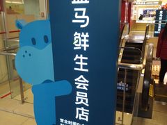 -盒马鲜生(大成店)