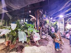 -正佳雨林生态植物园