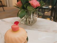 玫瑰草莓芝士蛋糕-PAUL LAFAYET 法式甜品(港汇广场店)