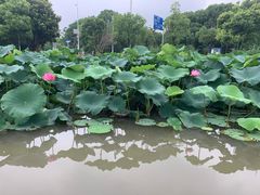 -美兰湖景区
