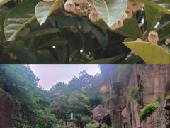 -广州莲花山旅游区