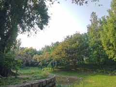 -北极寺公园