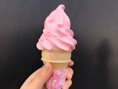 桃桃2018-麦当劳(塔园路店)