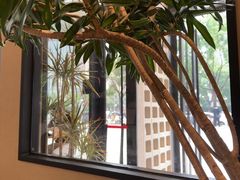 -Jamaicablue Coffeeshop(中央广场店)