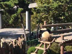 -大连森林动物园