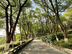 -上海市保健医疗中心