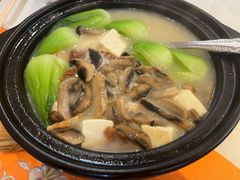-美心·翠园(港汇恒隆广场店)