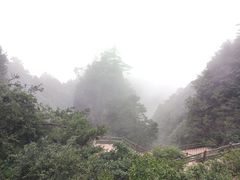 -秦岭天竺山景区