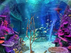 -沈阳海洋探索中心