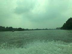 -溱湖国家湿地公园