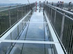 -呀诺达热带雨林