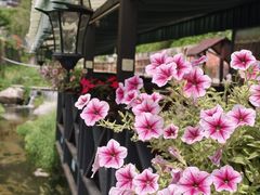-北京水岸山吧度假村(雁栖镇店)
