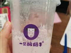 -一只酸奶牛(八一路店)