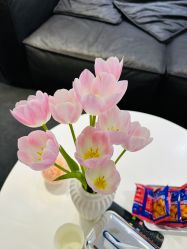 -春田皮肤管理中心品牌旗舰店