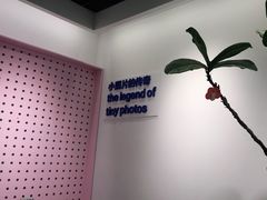 -天真蓝照相馆(杭州滨江宝龙店)