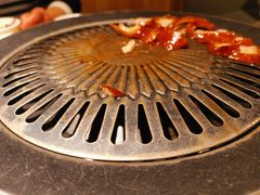 -守柴炉烤鸭(科华中路王府井店)