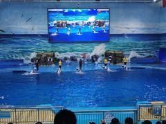 -多彩贵州城极地海洋世界