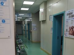 -北京观赏动物医院·24小时大型综合·猫专科·异宠专科
