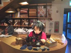 -济州岛泰迪熊博物馆