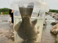 -绿堤公园