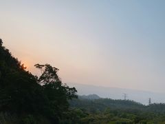 -深圳仙湖植物园