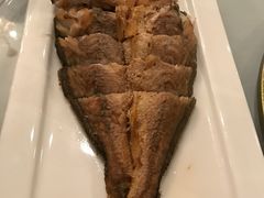 -老洋房花园饭店(绍兴路店)