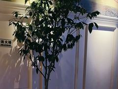-Mezomd曼索蒂西班牙餐厅(广粤店)