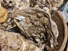 -蚝堡海鲜·威海菜·海肠捞饭·烧烤·亚洲吃蚝公司(幸福门店)