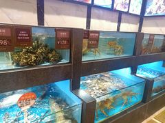 水产区-徐记海鲜(开福寺|伍家岭店)