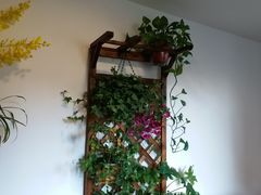 -Siam泰餐厅(水上公园店)